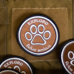 Loyal Friend Morale Patch